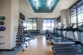 Located at 140 Old Country Road in Mineola, NY, this well-appointed fitness center offers a comprehensive single-floor layout designed to accommodate a wide range of workout routines. The space features a striking tray ceiling with teal accents and recessed lighting, lending the facility a polished, modern aesthetic throughout.

The main exercise floor is generously proportioned, with a combination of light hardwood and rubberized flooring that delineates cardio and strength training zones. A row of Life Fitness treadmills lines one side of the room, accompanied by stationary bikes and elliptical machines, all positioned beside large floor-to-ceiling windows that invite abundant natural light and outdoor views of the surrounding greenery. Wall-mounted flat-screen televisions provide entertainment throughout the cardio area.

The strength training section is well-equipped with a full rack of dumbbells, cable machines, multi-functional weight stations, and medicine balls, complemented by floor-to-ceiling mirrors that enhance the sense of space and allow for form monitoring during exercise.

A dedicated studio room features an open, hardwood-floored space ideal for group fitness classes, yoga, or Pilates. This room is lined with large mirrors, a ballet barre, and is equipped with exercise balls and mats. A raised platform area adds versatility to the studio's use. The overall ambiance of the facility is bright, clean, and professional.