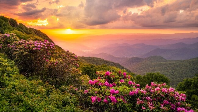 Photo - 180 Rue Fontaine Apartment