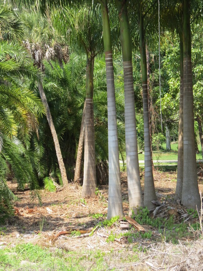 Pirates Cove Apartments for Rent with a Garage Bonita Springs, FL