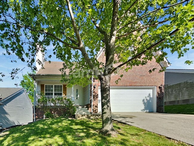 Building Photo - 913 Tom Hailey Blvd