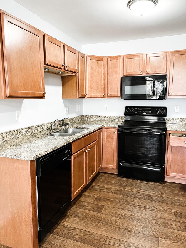 209 Mary High Dr, Wellford, SC 29385 Townhome Rentals in Wellford SC