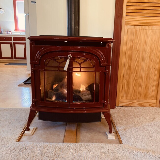 Propane Fireplace - 66 Magog Rd