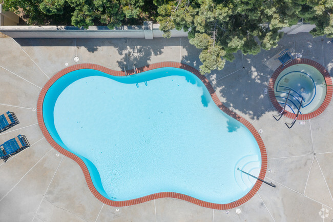 Lower Pool and Spa - Talmadge Canyon Park