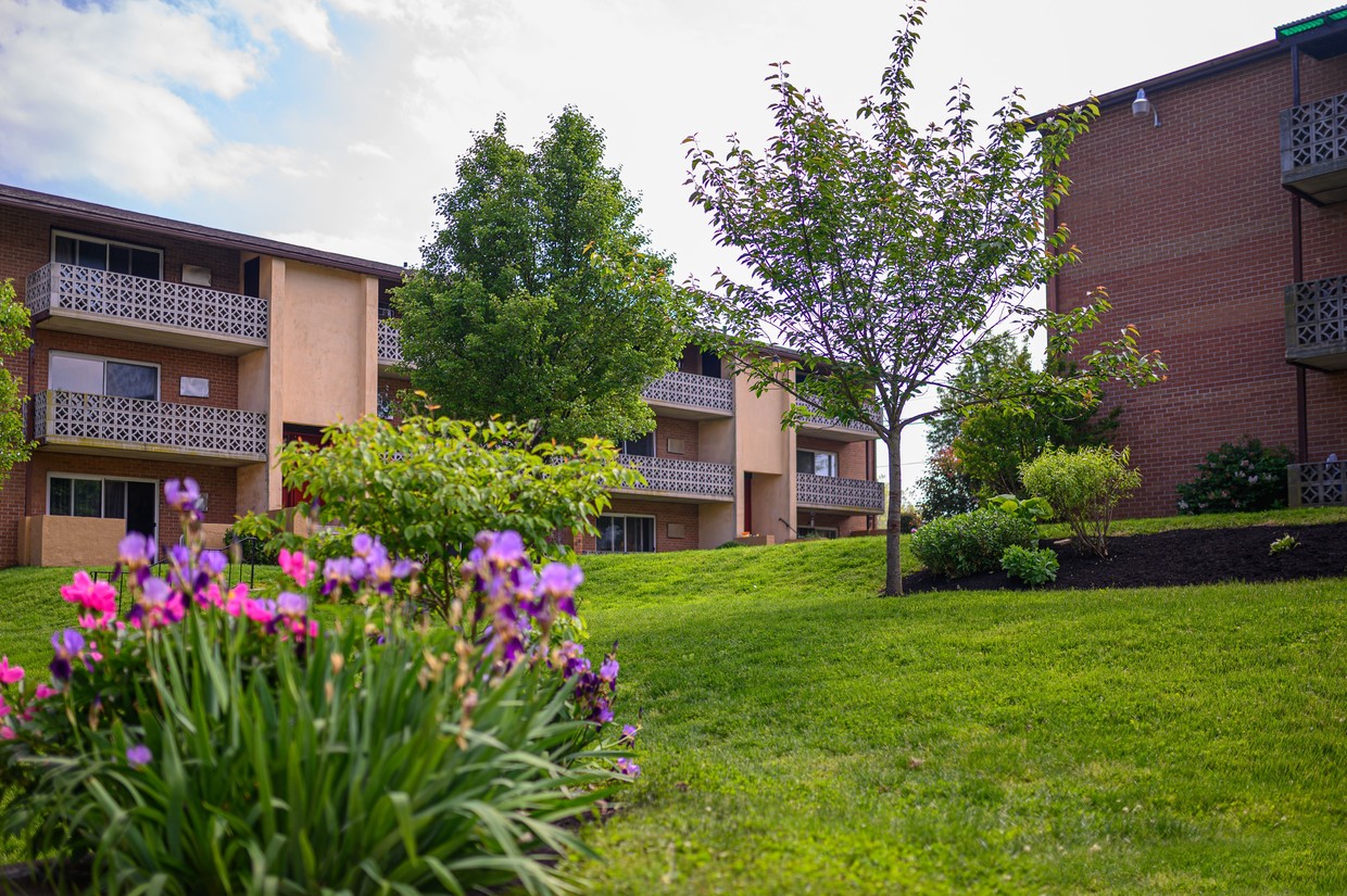 Primary Photo - Ash Park Apartments