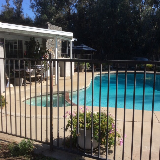 Pool - 2378 Stoneridge Rd