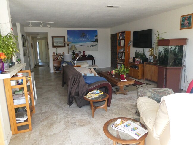 Living room - 822 Viva Ct