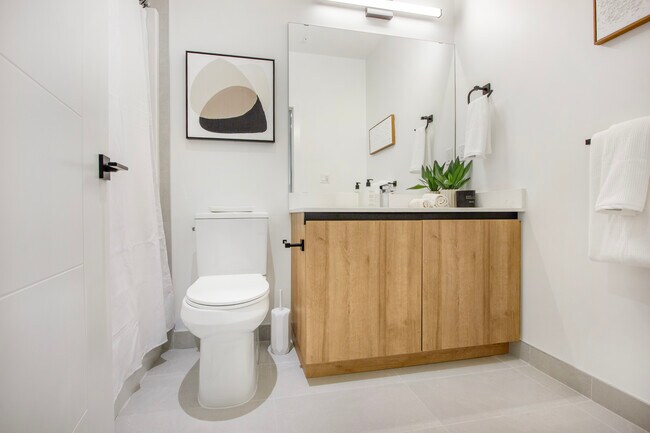 Toilettes - The Leston Affordable