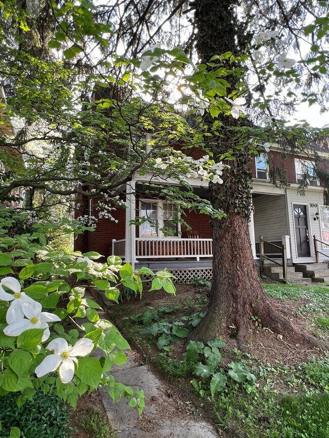 Building Photo - Spacious 3 Bedroom, 1 Bathroom with Off St...