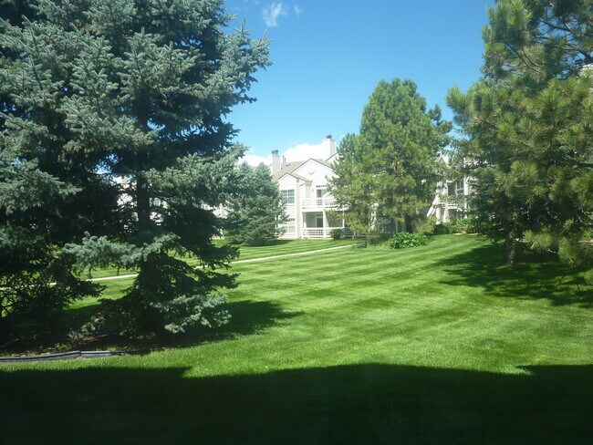 Front field - 7490 Singing Hills Dr