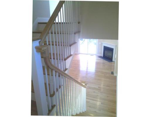 Open first floor - 8 Murray Ave