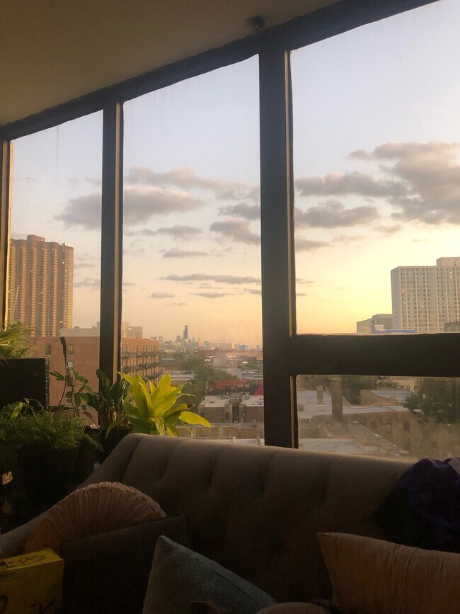 Foto del edificio - 3930 N PINE GROVE Ave