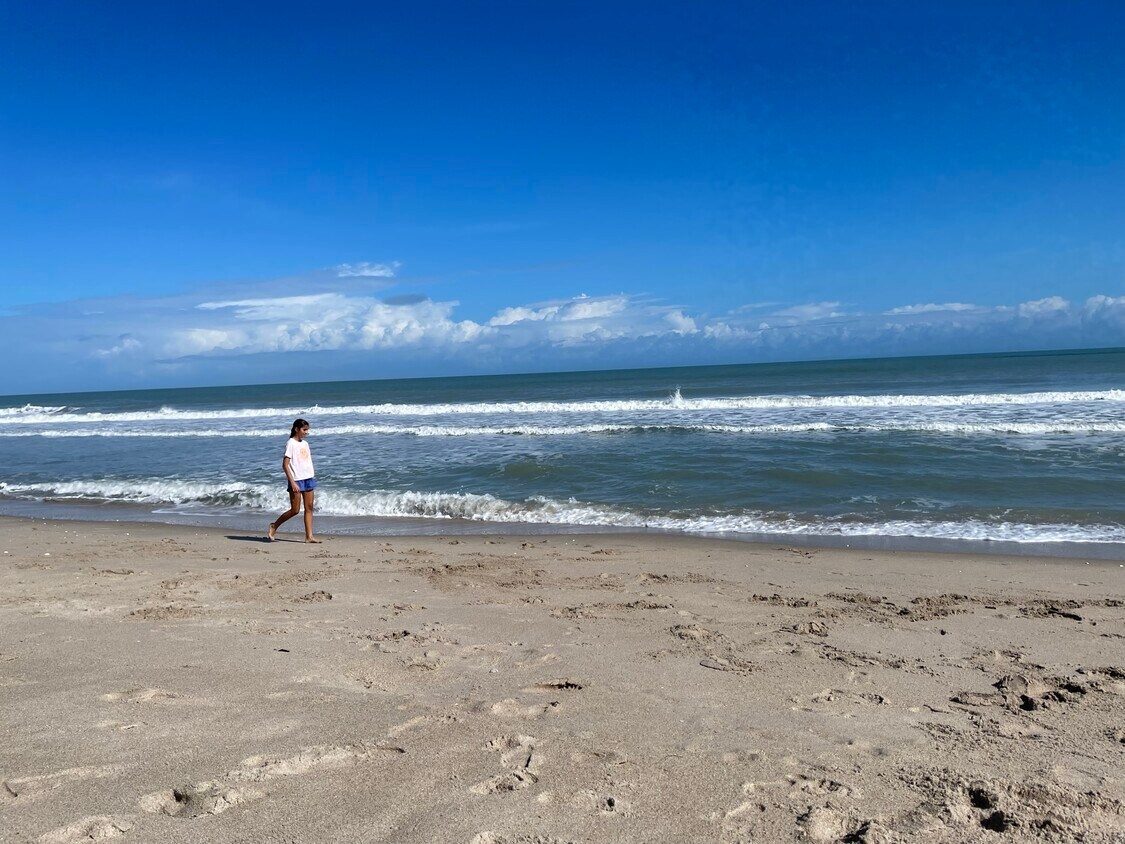 Primary Photo - 3150 N Highway A1A