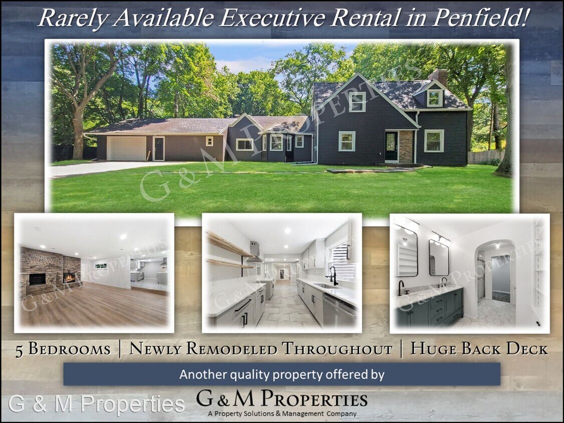 Primary Photo - 5 br, 2.5 bath House - 1644 Creek St.