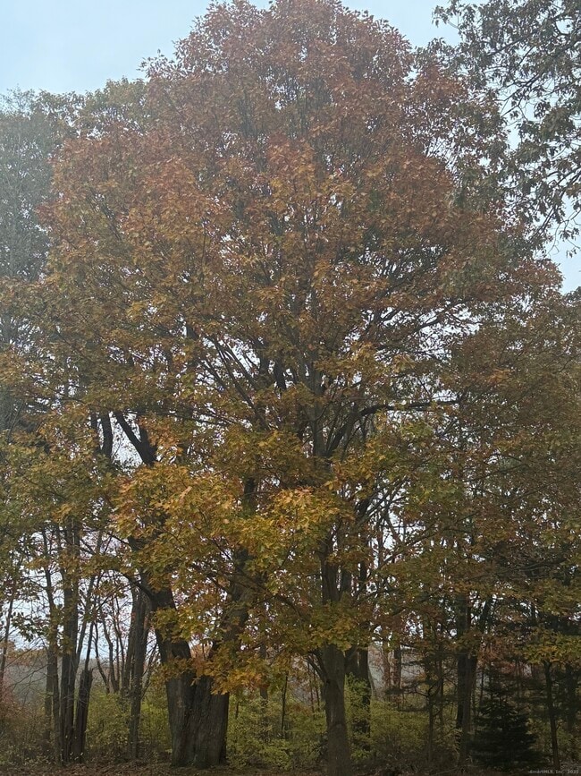 Foto del edificio - 20 Dartmouth Rd