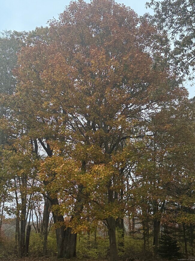 Building Photo - 74 Baxter Rd