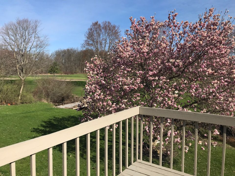 Foto principal - 2409 Graybill Rd