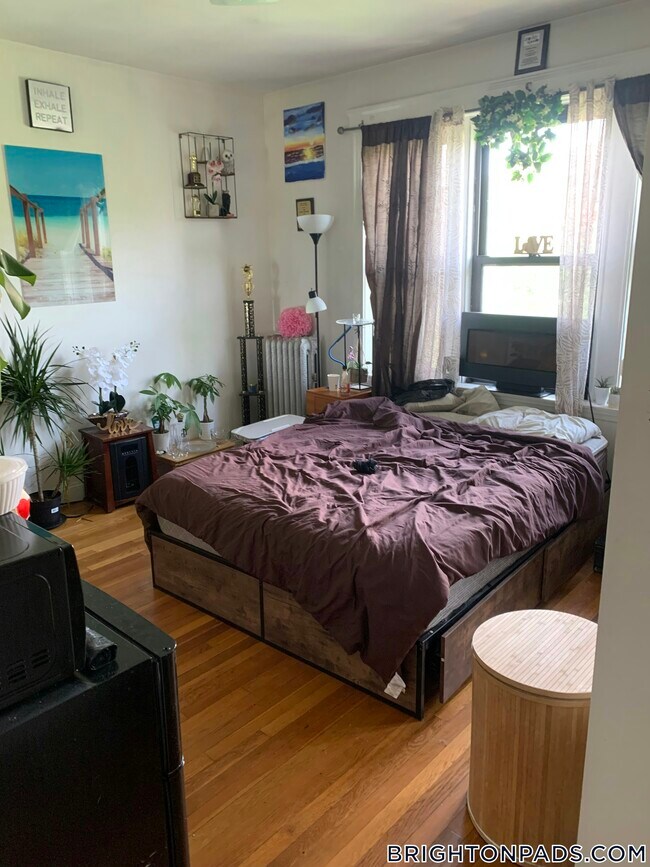 Building Photo - 41 Egremont Rd