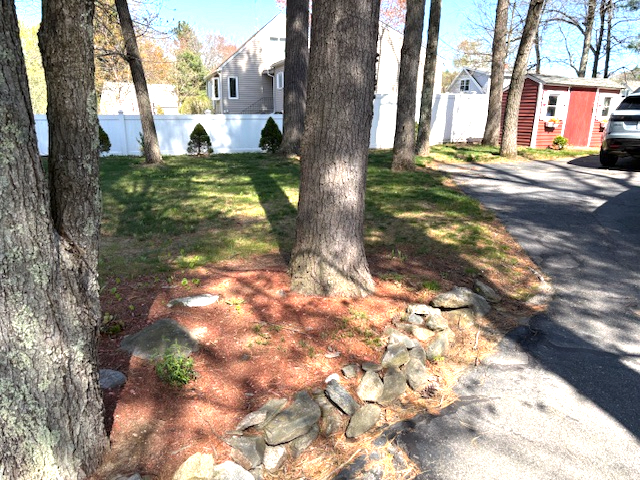 Primary Photo - 39 B St