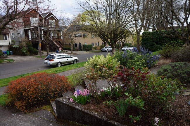 Foto del edificio - NE Portland - Irvington 3-bedroom Beauty!
