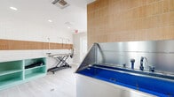 Located at 15449 N 25th Ave in Phoenix, Arizona, this professionally designed pet grooming studio is a single-floor space thoughtfully outfitted for full-service animal care. The interior is finished with light wood-look tile flooring throughout, providing a clean and durable surface well-suited to a grooming environment. A standout feature is the large stainless steel step-in bathing tub with a blue anti-slip base, wall-mounted fixtures, and an integrated surround clad in warm-toned, vertically laid ceramic tile — creating a striking focal point within the room. Adjacent to the tub, a hydraulic lift grooming table with an overhead restraint arm offers a functional and ergonomic workstation. Along one wall, a continuous run of mint-green cabinetry with open shelving and a smooth white countertop provides ample workspace and organized storage, accented by a combination of white subway tile and coordinating warm-toned tile above. Recessed lighting and ceiling-mounted HVAC vents ensure a well-lit and climate-controlled environment. Multiple windows and a glass-panel exterior door allow natural light to fill the space and provide views of the surrounding greenery. A patio provides convenient exterior access, completing this efficient and attractively finished grooming facility.