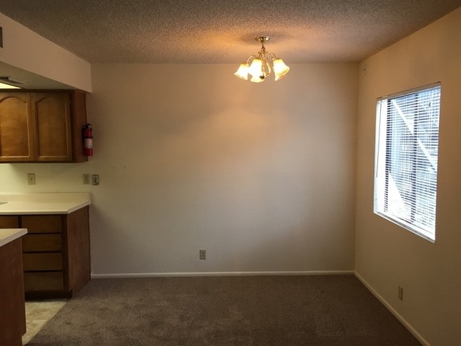 Building Photo - 286 W Palomino Dr