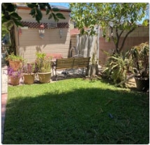 Backyard - 1845 Junipero Ave