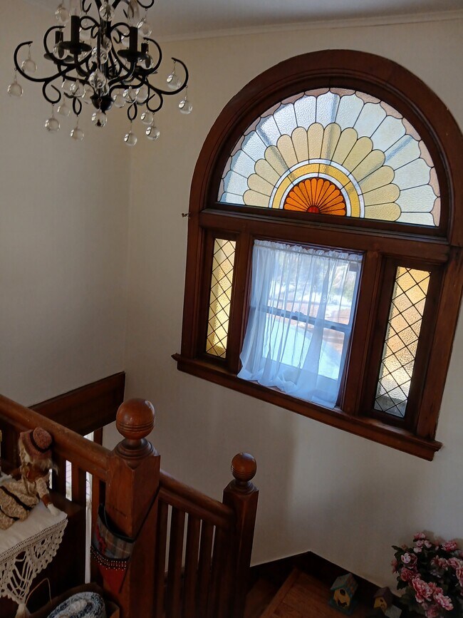 PATONES DE CARÁCTER Y LUZ - 103 W 2nd Ave