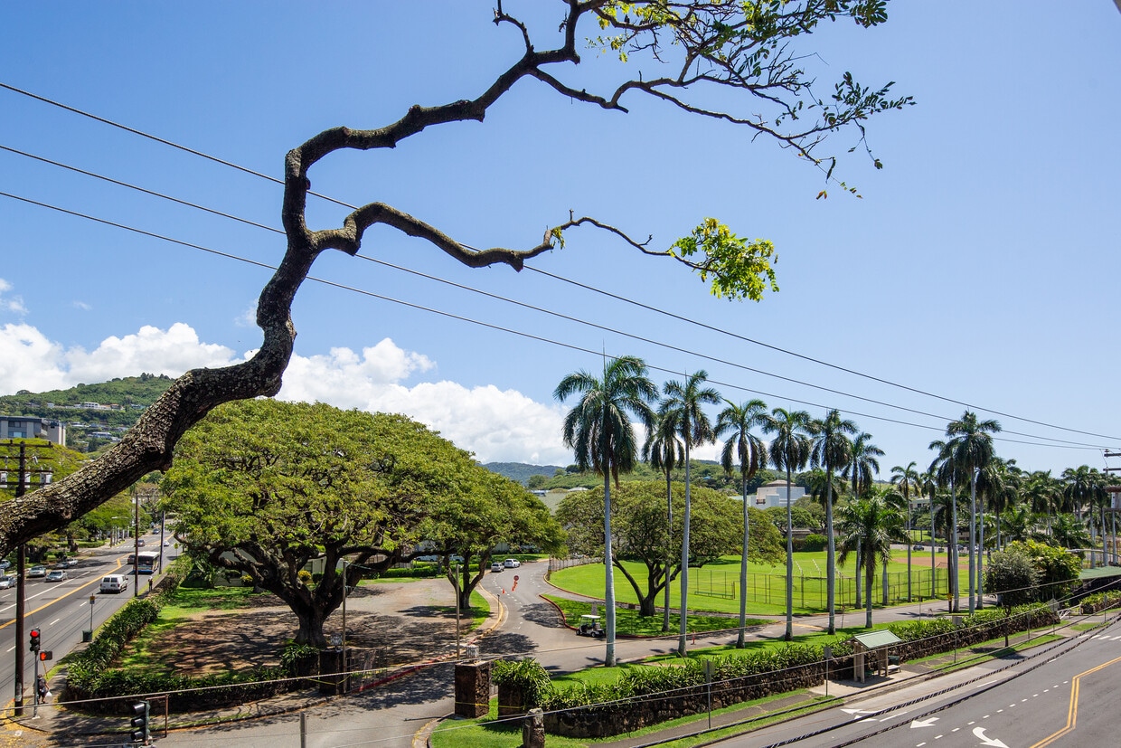 View from Lanai - 1535 Punahou St
