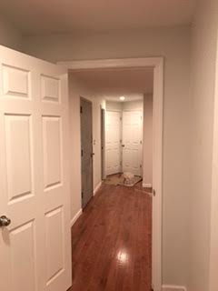 Primary Photo - 256 Palmetto St