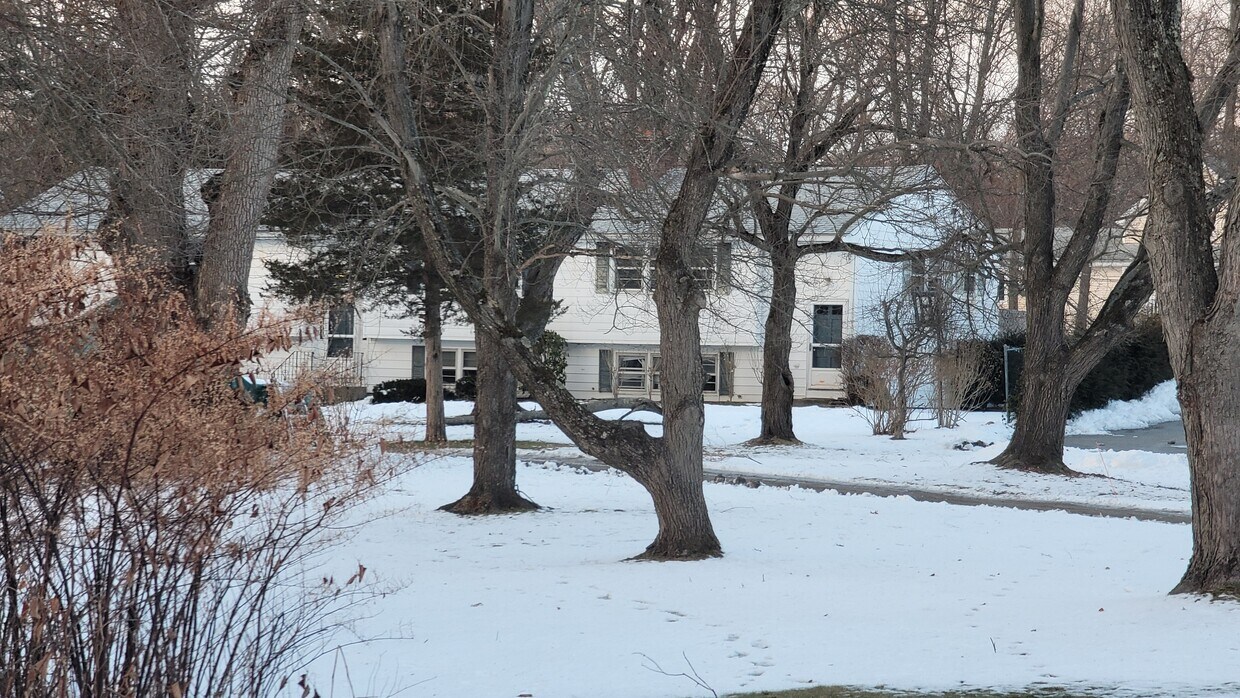 Primary Photo - 11 Fisher St