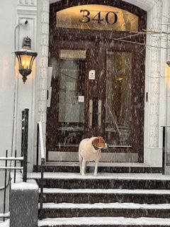 Foto del edificio - 340 W 19th St