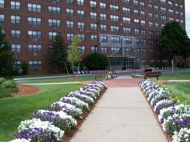 Building Photo - Fresh Pond Apartments