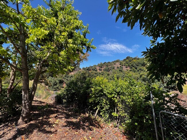 Building Photo - Hidden Gem at the End of the Cul-de-Sac!