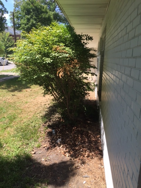 Foto del edificio - 802 W Iowa St