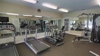 This fitness center is a dedicated, single-floor exercise facility designed to support a well-rounded workout routine. The space is outfitted with a selection of modern cardio equipment, including treadmills and an elliptical trainer, alongside strength and resistance training machines. Large wall-mounted mirrors span the length of the room, creating a sense of expanded space and allowing users to monitor their form during exercise. The flooring features durable, dark rubberized material well-suited for high-traffic fitness use. Overhead fluorescent lighting ensures the space is bright and evenly illuminated throughout. Glass-paneled doors along one wall allow natural light to filter into the room, providing views of the surrounding outdoor greenery and contributing to an open, airy atmosphere. A wall clock is mounted near the mirror, offering a practical touch for managing workout timing. The overall layout is clean and functional, with equipment arranged to allow comfortable movement between stations. The light-toned walls and reflective mirrors work together to keep the environment feeling spacious and energizing — making this fitness center a practical and welcoming space for daily exercise.