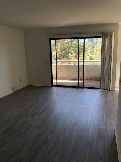 Bright, Spacious Living Room - 611 E Angeleno Ave