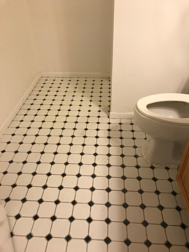 Building Photo - 5122 Williams Fork Trl