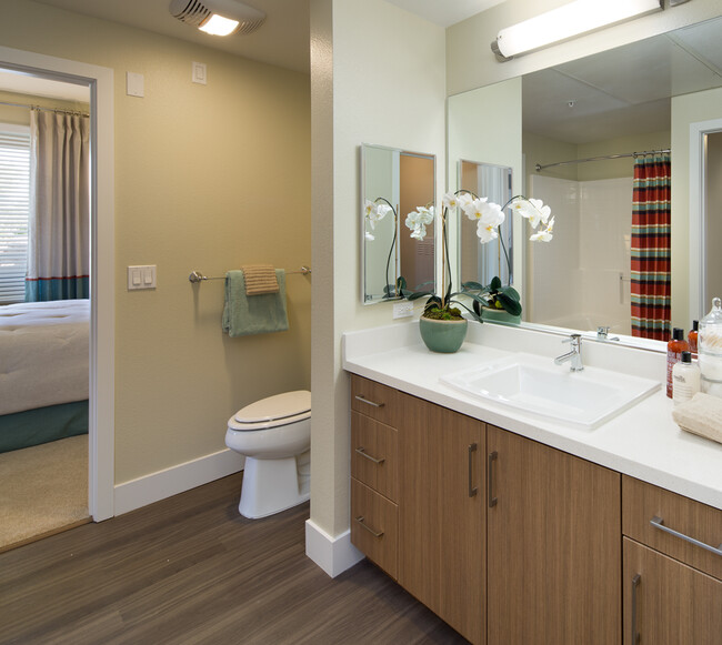 One Bedroom Bathroom - Avalon Vista