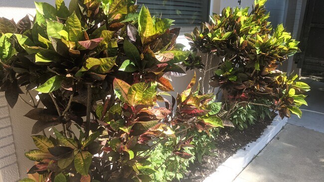 Building Photo - 2042 Harley Ave