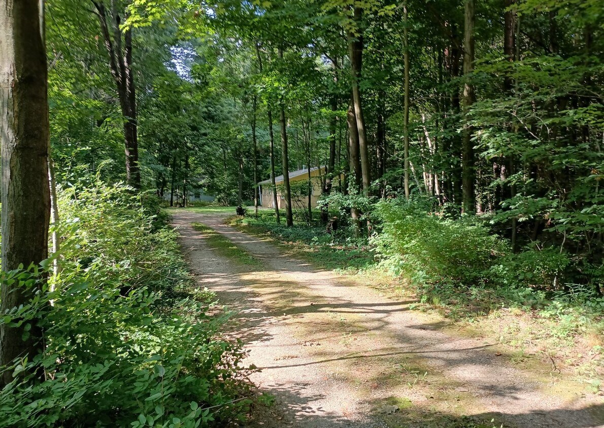 Foto principal - Cottage in the Woods