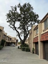 Building Photo - 327 E Live Oak St