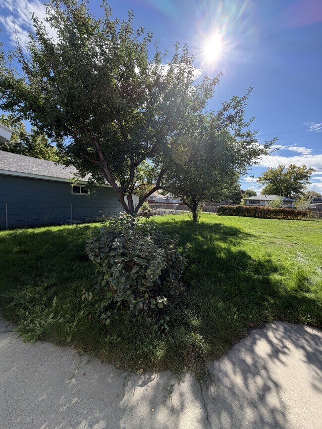 Foto del edificio - 2520 Lillis Ln