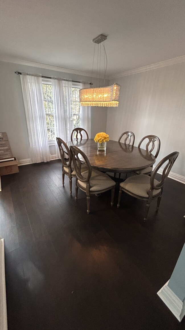 Formal Dining Room - 115 Falls Bridge Dr