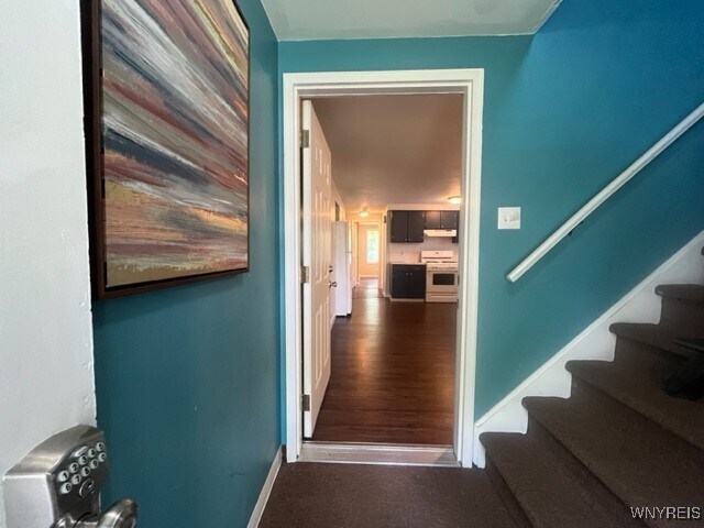 Foto del edificio - 47 Glenhaven Dr