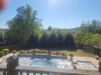 back yard with pool - 3346 Sweetleaf Ln