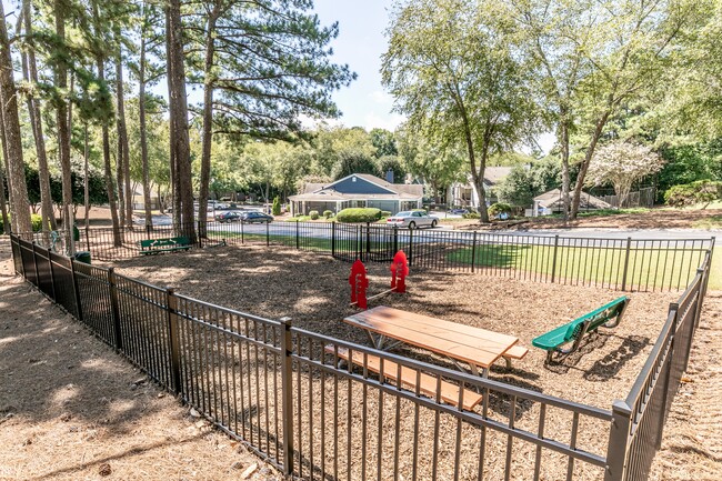 Private Paw Park with Agility Equipment - The Atlantic Newtown