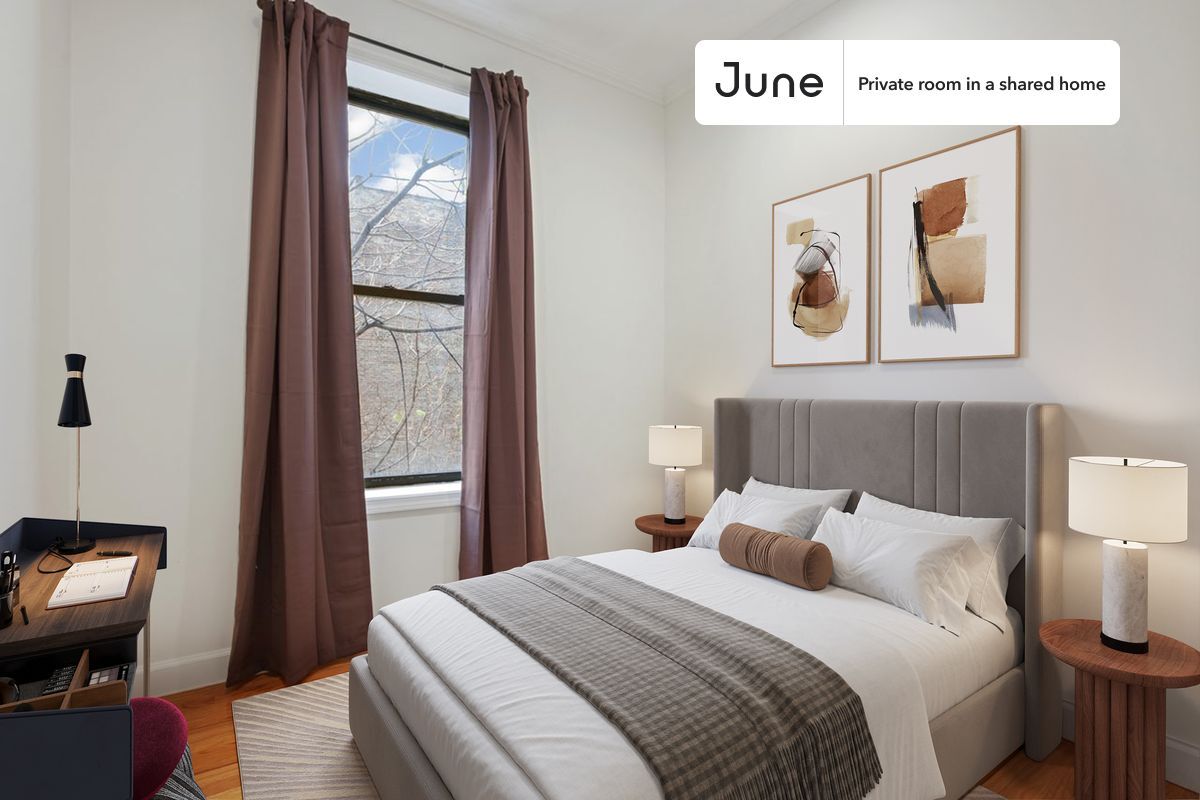 Room in Shared 4 bed/1 bath home - Room in Shared 4 bed/1 bath home