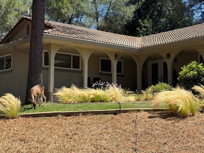 Foto del edificio - 23799 Woodhaven Pl