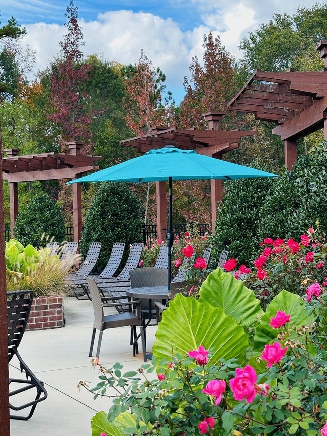 Pool Lounge - Gateway at Rock Hill