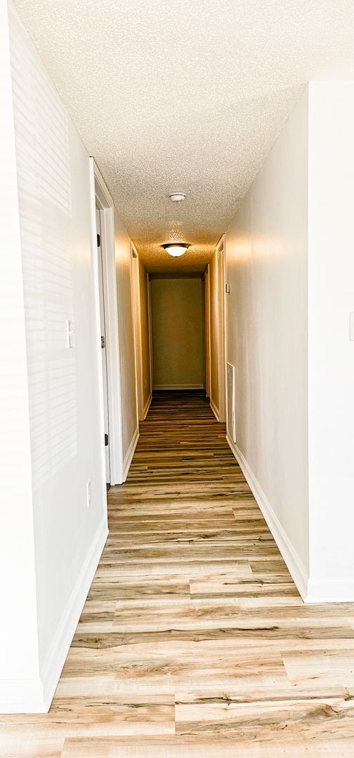 Building Photo - Beautifully updated 4 Bedroom/2 Bathroom downstairs apartment